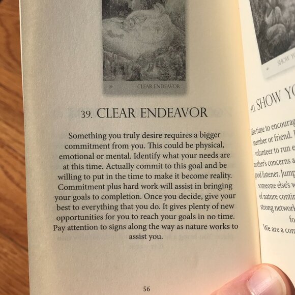 Nature's Whisper's oracle card deck - Picture 7 of 7